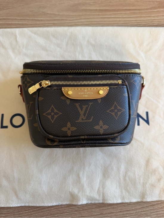Louis Vuitton Handbags - Mini Camera Bag - Brown with Gold Hardware